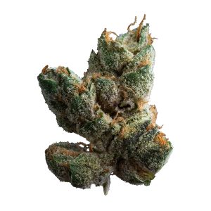Sugar Cookies 3.5g Dried Flower