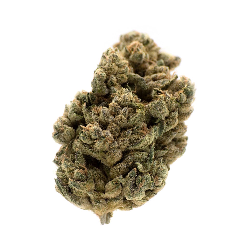 Jungl' Cake 14g Dried Flower