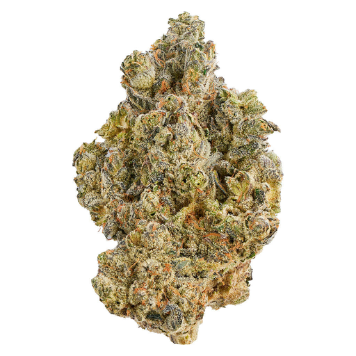 Broken Coast - La Bomba - Flower