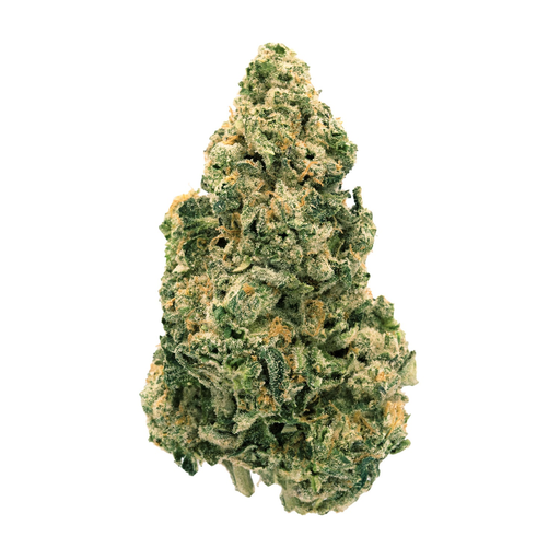 Daytrippers Galactic Jack 2x1g