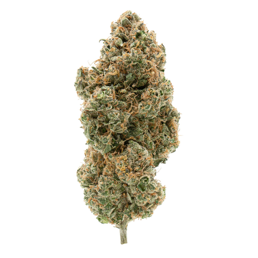 BC Organic Tangerine Sunrise 3.5g Dried Flower