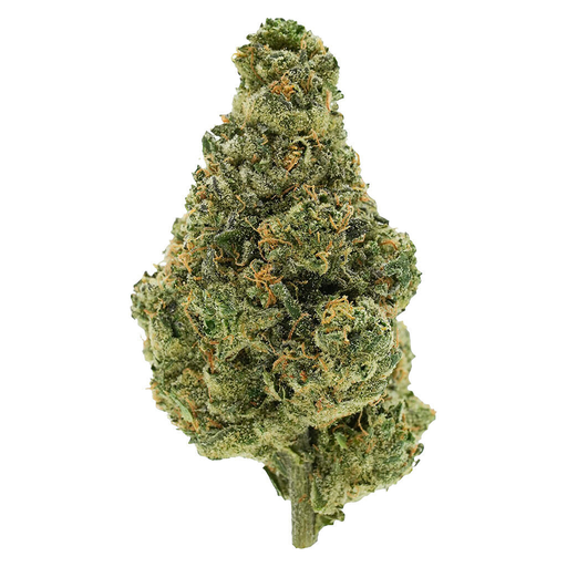 BC Organic Lime Drizzle 7g Dried Flower