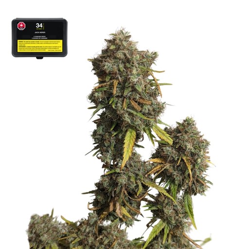 Jack Herer 14g