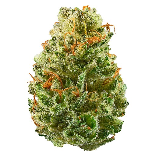 Strawberry Cough 7g Dried Flower