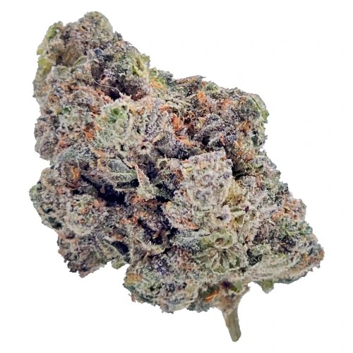 Royal Dive #4: Goofiez 3.5g Dried Flower