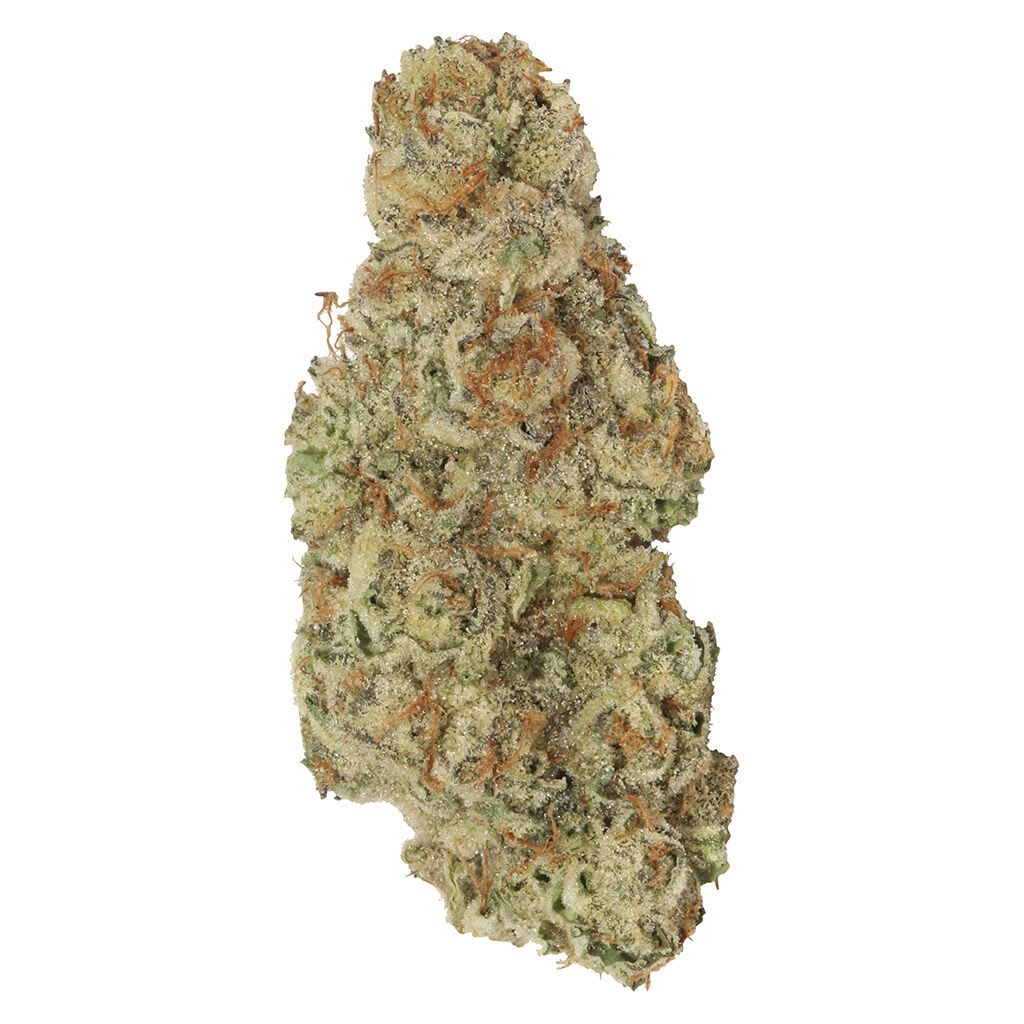 Garlic Mintz 28g Dried Flower